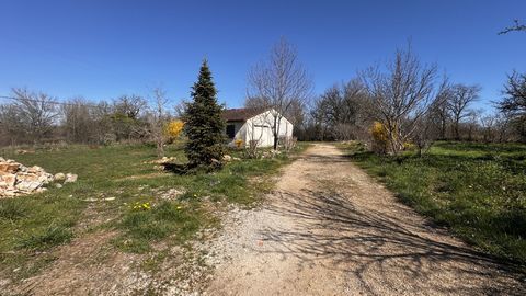   Maison Maison - 3 pi�ce(s) - 150 m�