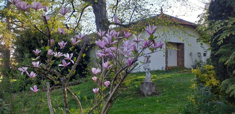 � vendre  Maison Bonny-sur-Loire (45420)