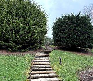  Appartement � vendre 1 pi�ce 14 m�