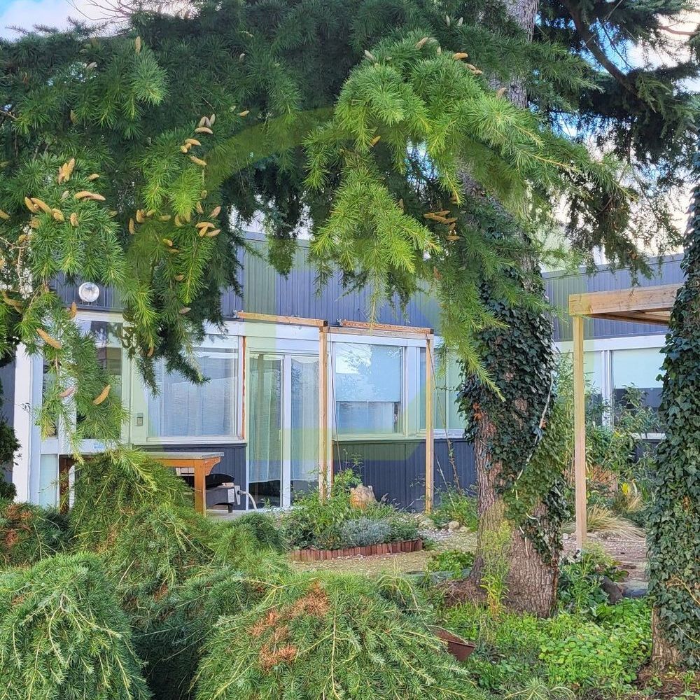 � vendre  Maison Saint-Cyr-en-Val (45590)