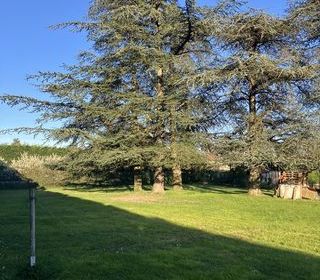  Terrain � vendre 1507 m�