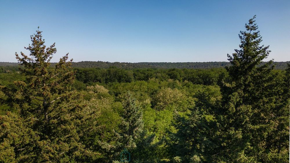 � vendre  Appartement Barbizon (77630)