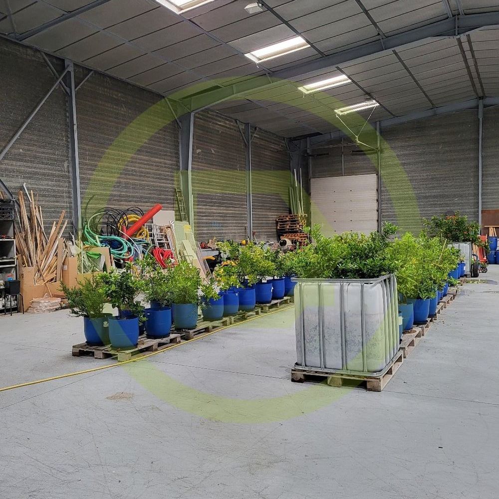 � vendre  Maison Saint-Cyr-en-Val (45590)