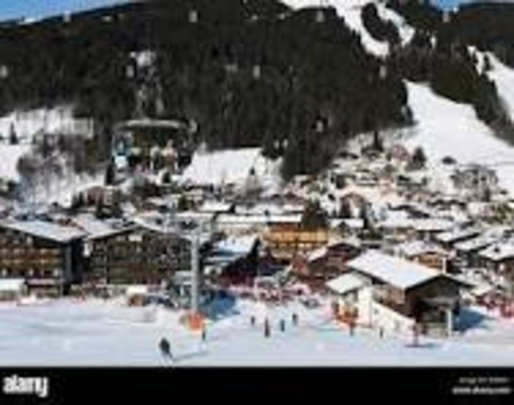 � vendre  Appartement Les Gets (74260)