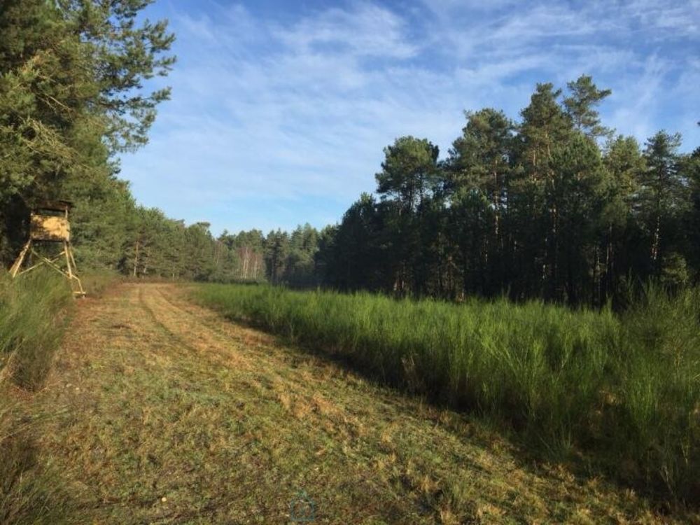 � vendre  Propri�t�/ch�teau Salbris (41300)