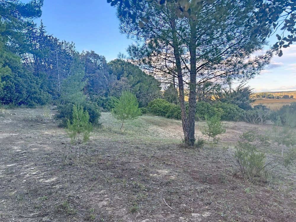 � vendre  Maison Poussan (34560)