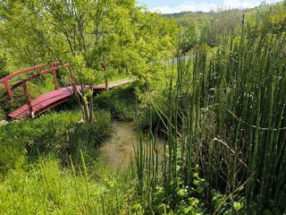  Maison � vendre 11 pi�ces 374 m�