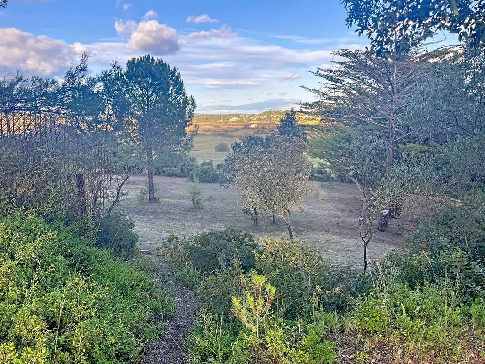 � vendre  Maison Poussan (34560)