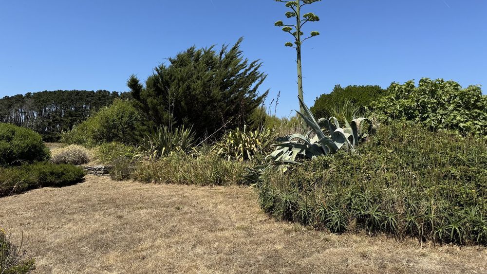 � vendre  Villa Sauzon (56360)