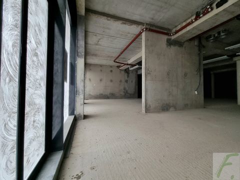 Local commercial 723000 74150 Rumilly