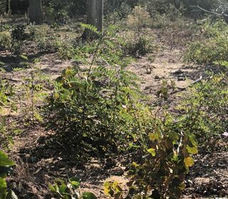  Terrain � vendre 802 m�