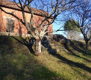  Maison � vendre 1 pi�ce 65 m�