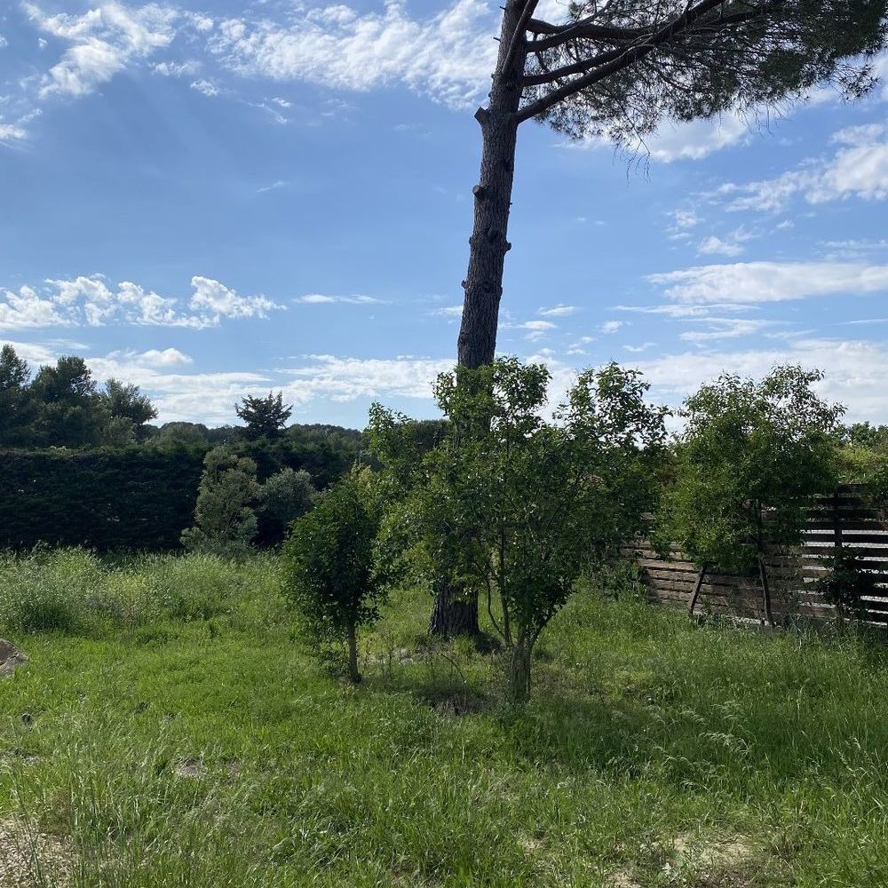 � vendre  Maison P�zenas (34120)