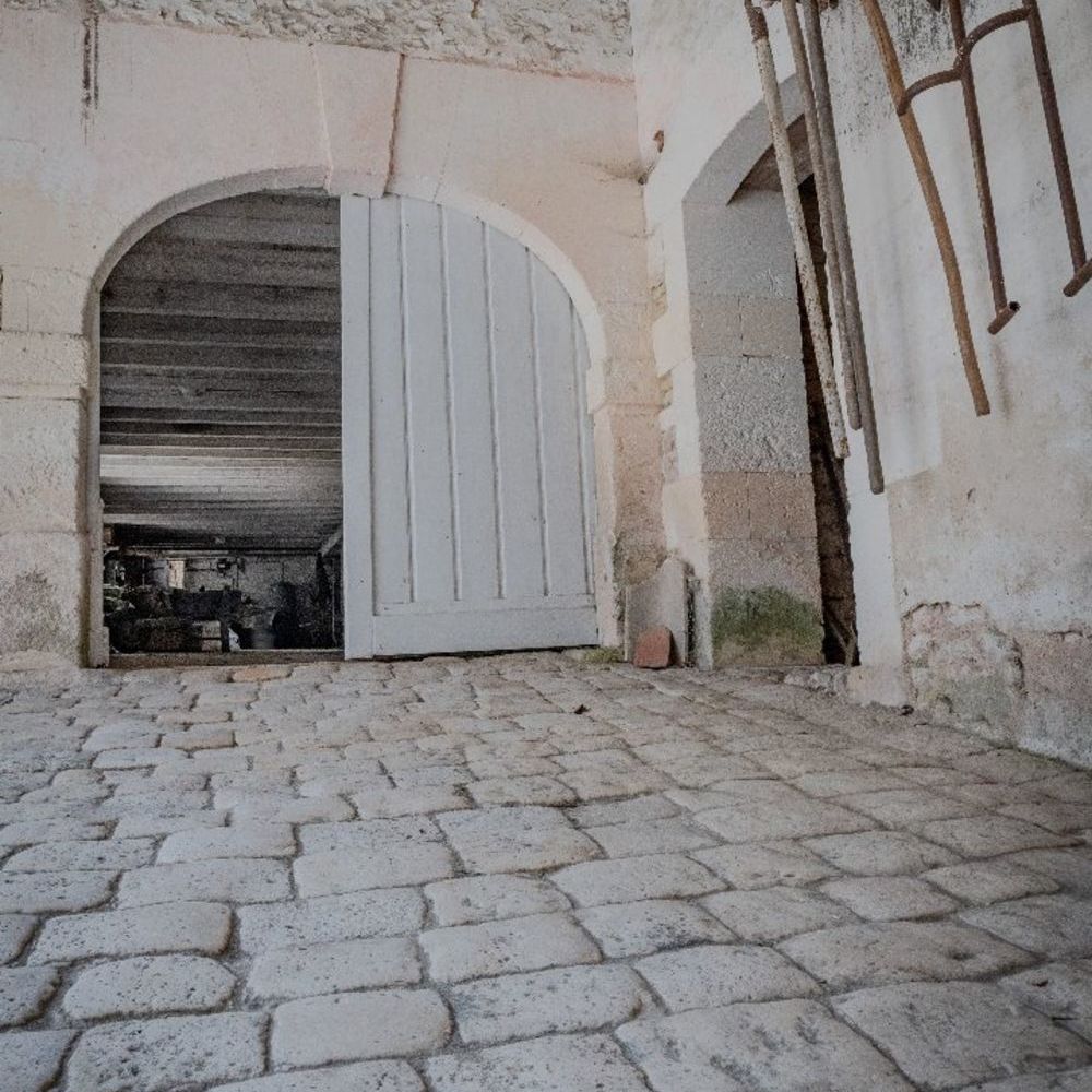 � vendre  Villa Segonzac (16130)