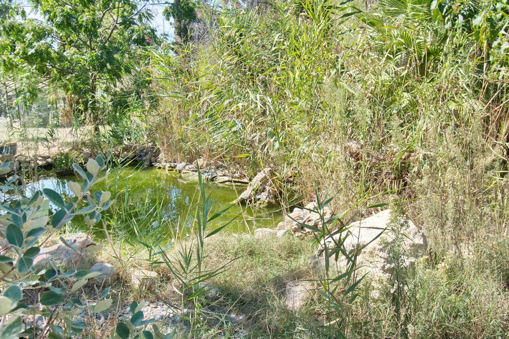 � vendre  Maison M�ze (34140)