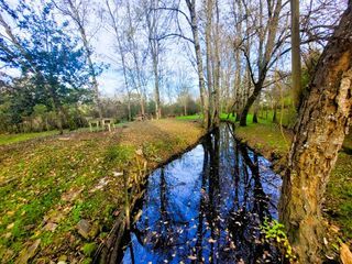  Maison � vendre 10 pi�ces 180 m�