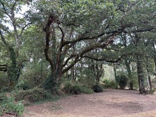  Maison � vendre 5 pi�ces 88 m�