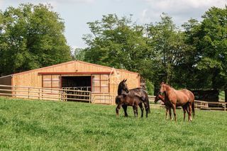  Villa � vendre 14 pi�ces 670 m�