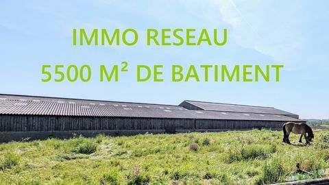 B&acirc;timent 250000 85270 Saint hilaire de riez