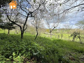  Maison � vendre 4 pi�ces 173 m�