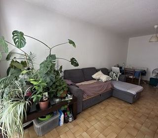  Appartement � vendre 2 pi�ces 44 m�