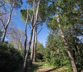  Maison � vendre 8 pi�ces 205 m�