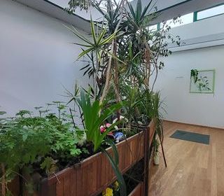  Immeuble � vendre 241 m�