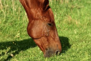  Maison � vendre 7 pi�ces 150 m�