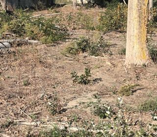  Terrain � vendre 802 m�