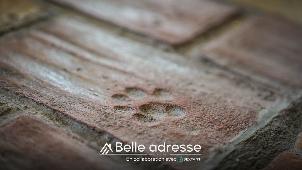 � vendre  Villa Niedernai (67210)