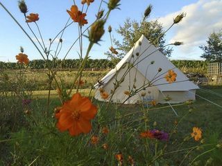  Maison � vendre 15 + pi�ces 299 m�