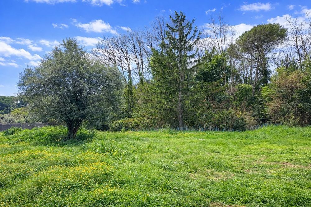 � vendre  Maison Valbonne (06560)