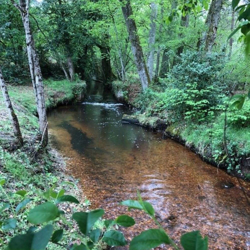 � vendre  Propri�t�/ch�teau Salbris (41300)