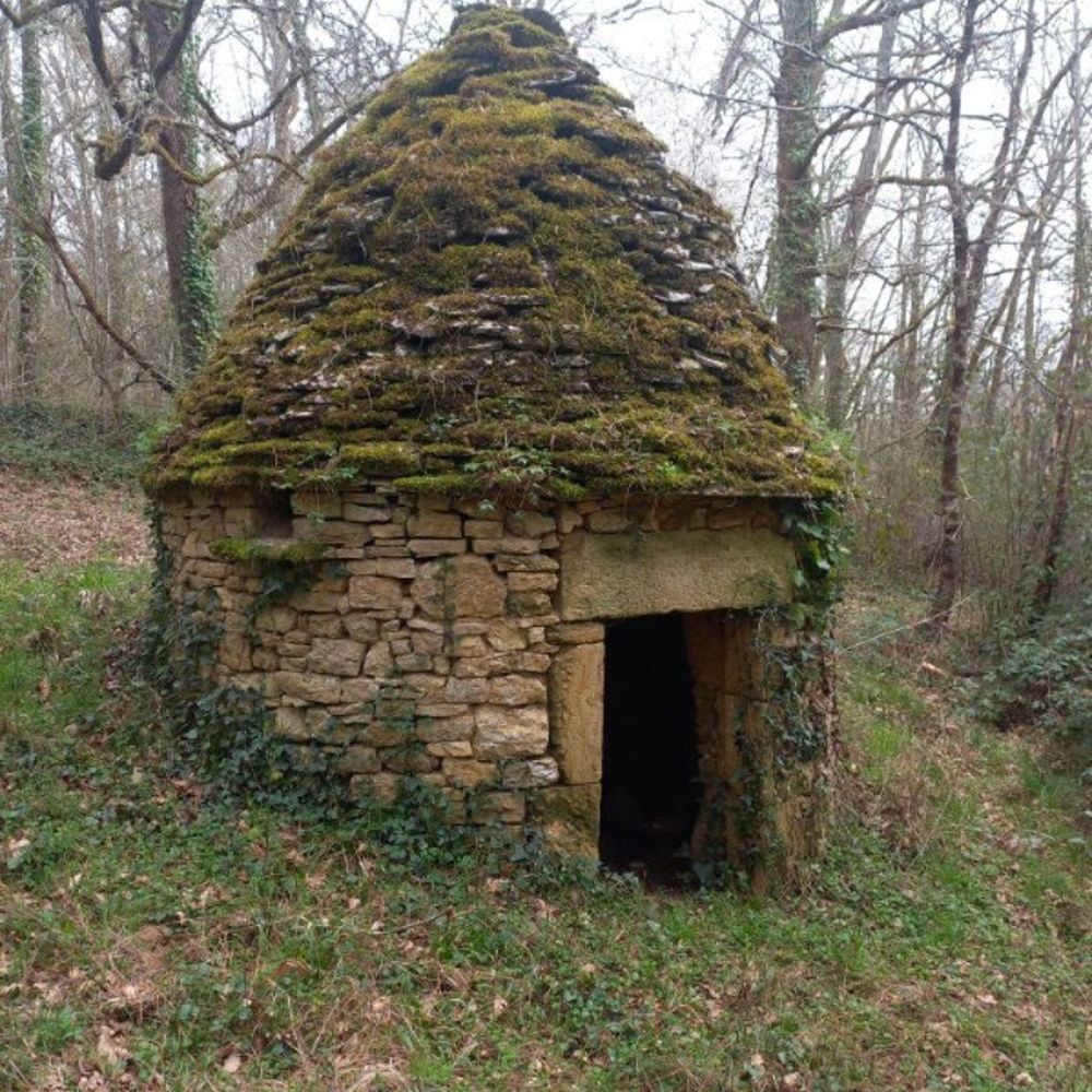 � vendre  Maison Cazals (46250)