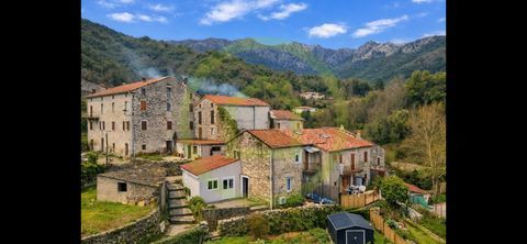   Maison Maison - 3 pi�ce(s) - 59 m�