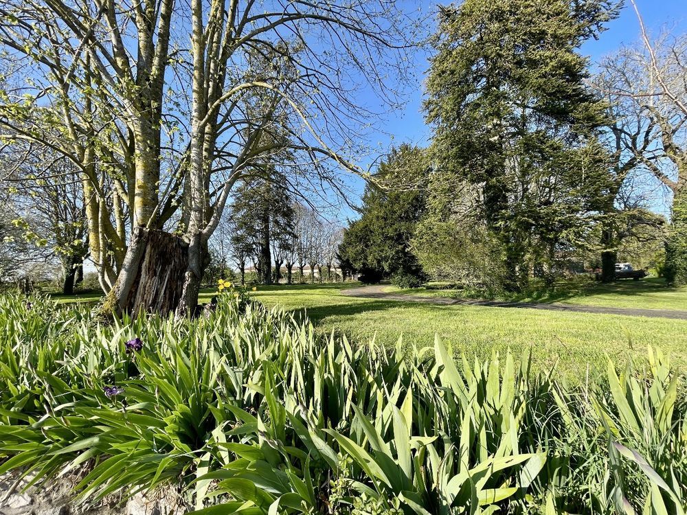 � vendre  Propri�t�/ch�teau Ardilleux (79110)