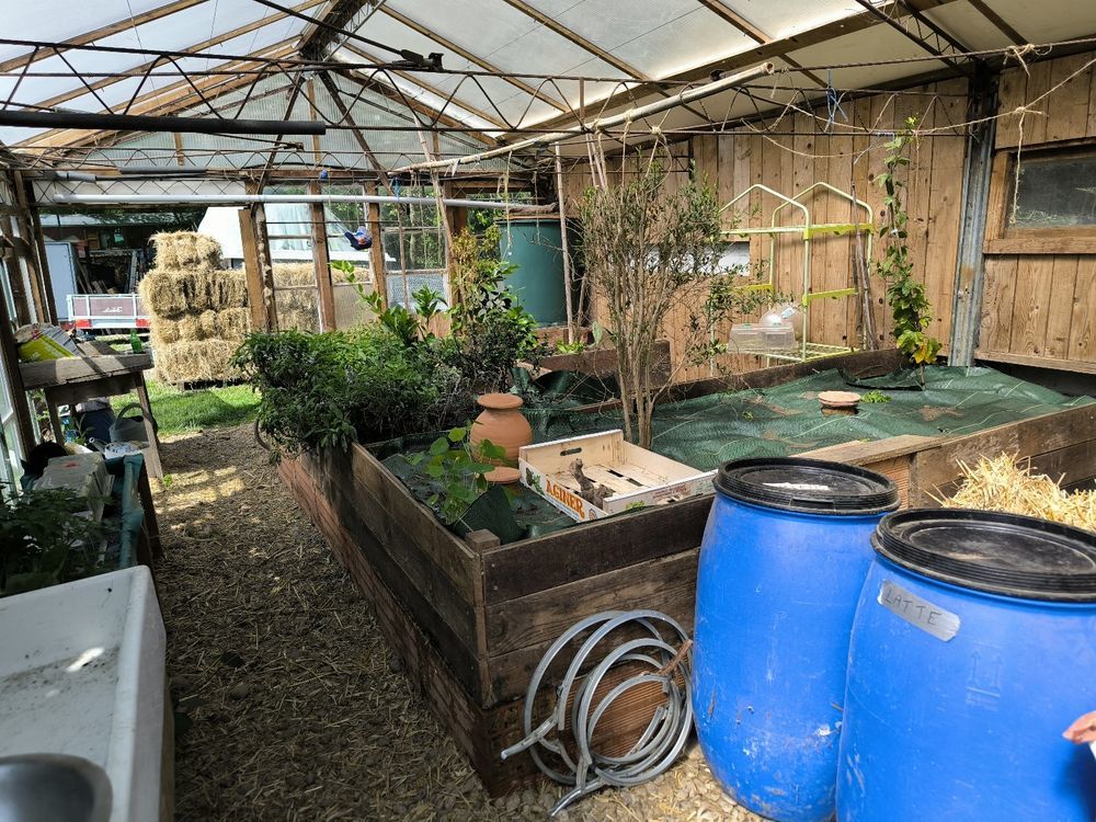 � vendre  Maison Pamiers (09100)