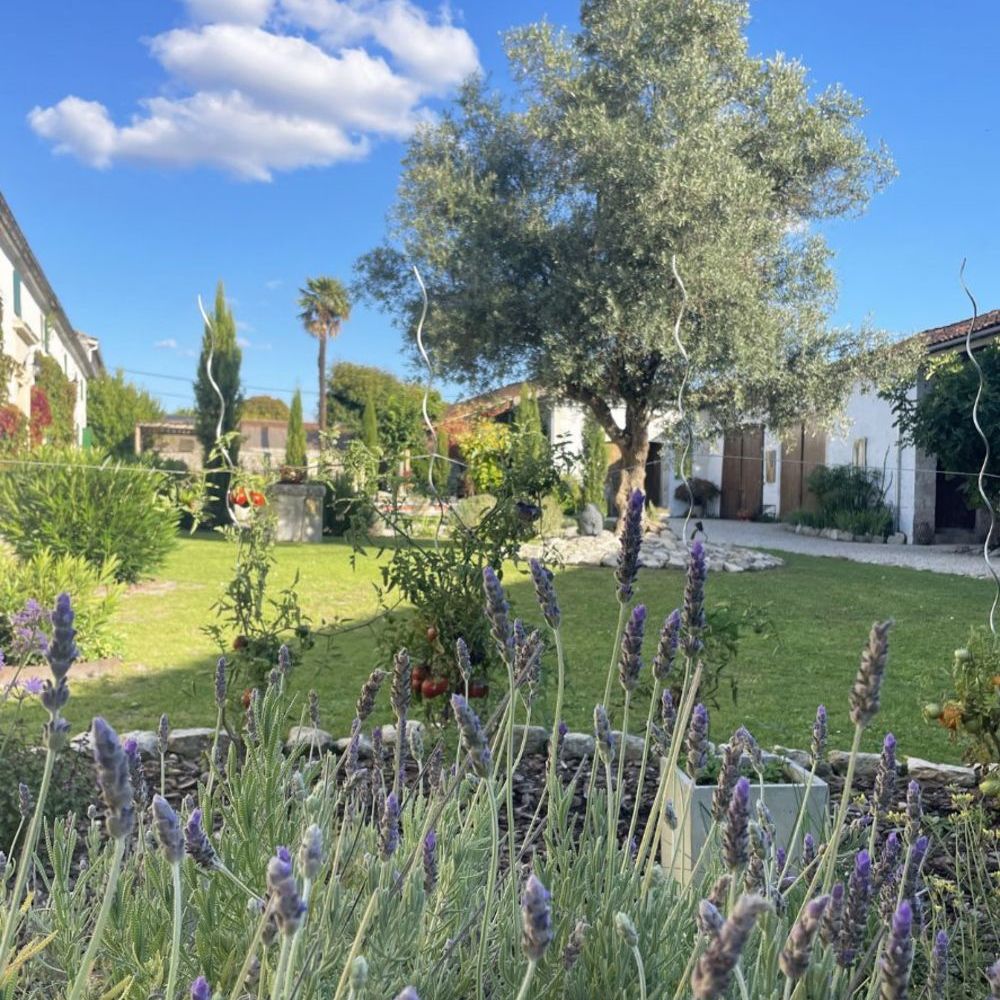 � vendre  Villa Cognac (16100)