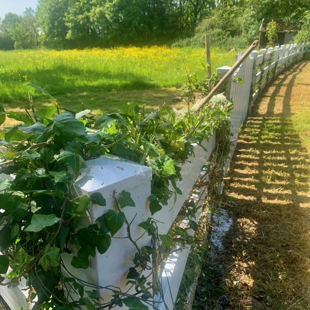 � vendre  Maison Yffiniac (22120)