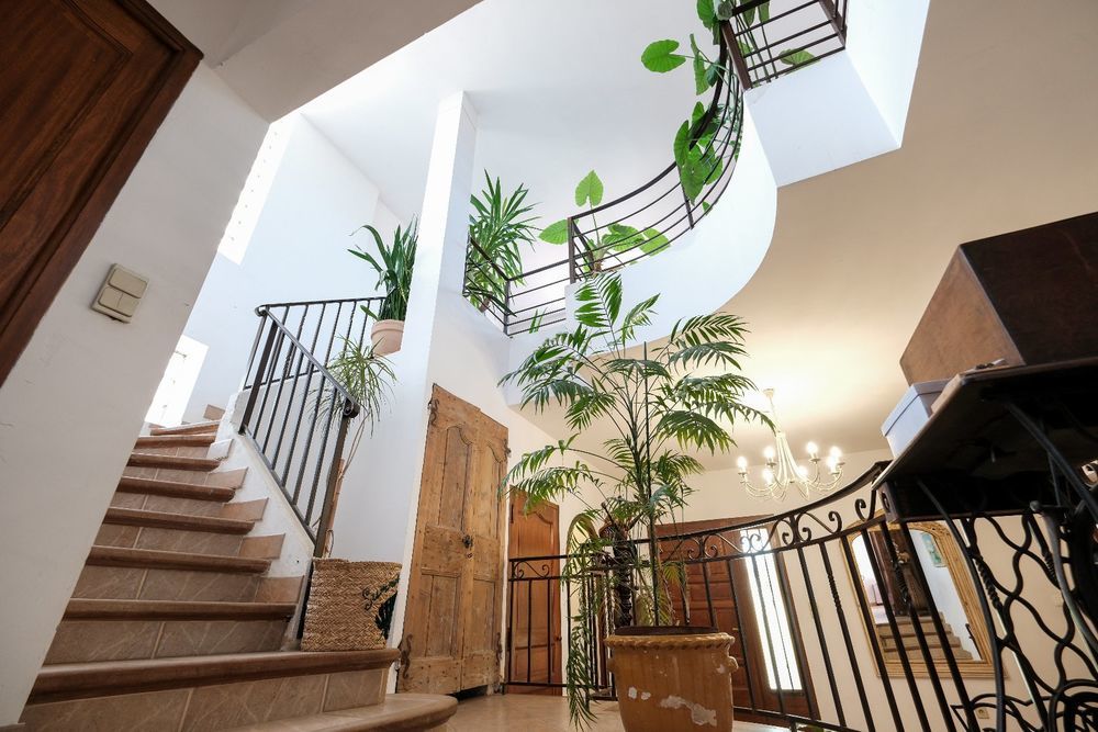 � vendre  Maison Thuir (66300)