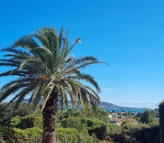  Terrain � vendre 1210 m�