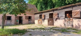  Maison � vendre 4 pi�ces 300 m�