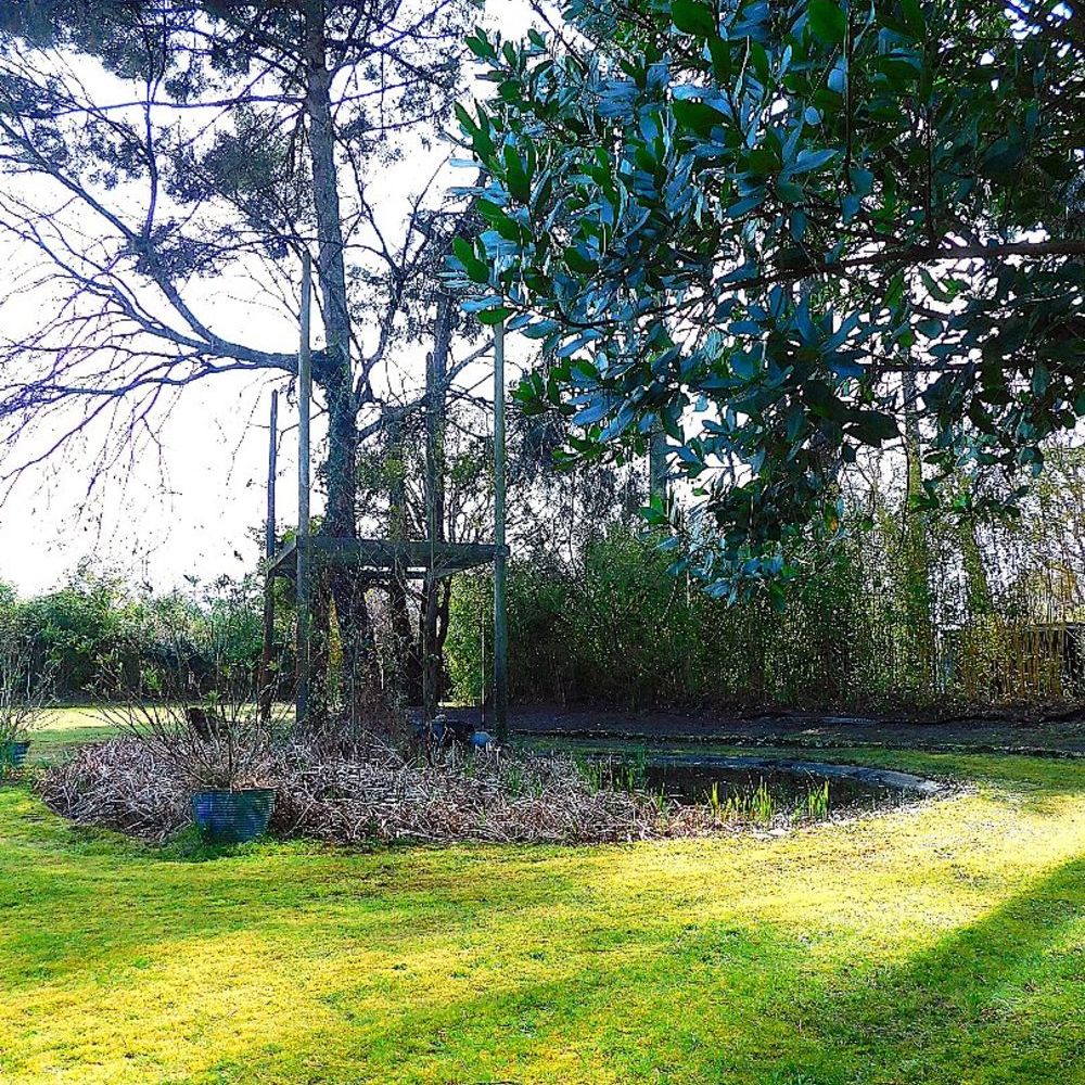 � vendre  Maison Sanguinet (40460)