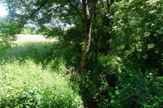  Terrain � vendre 29140 m�