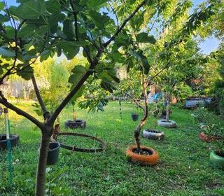  Maison � vendre 2 pi�ces 60 m�