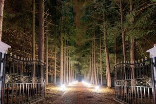  Villa � vendre 15 + pi�ces 800 m�