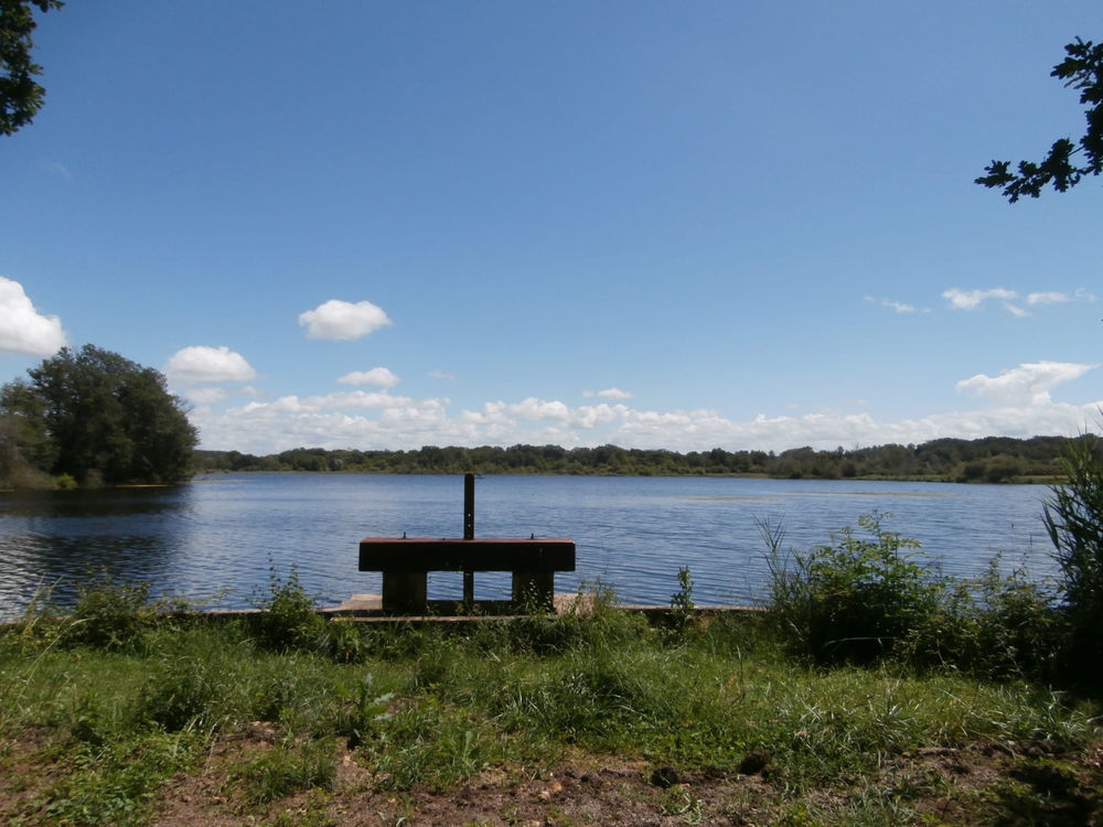 � vendre  Villa Saint-Jeanvrin (18370)