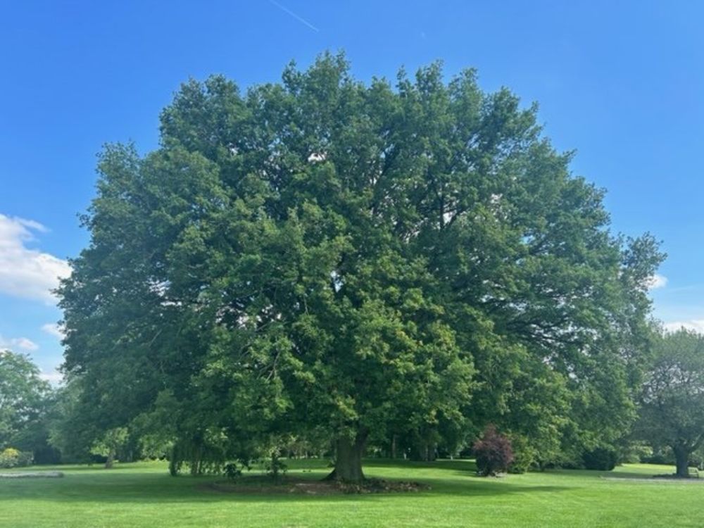 � vendre  Maison Soulitr� (72370)