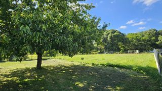  Terrain � vendre 973 m�