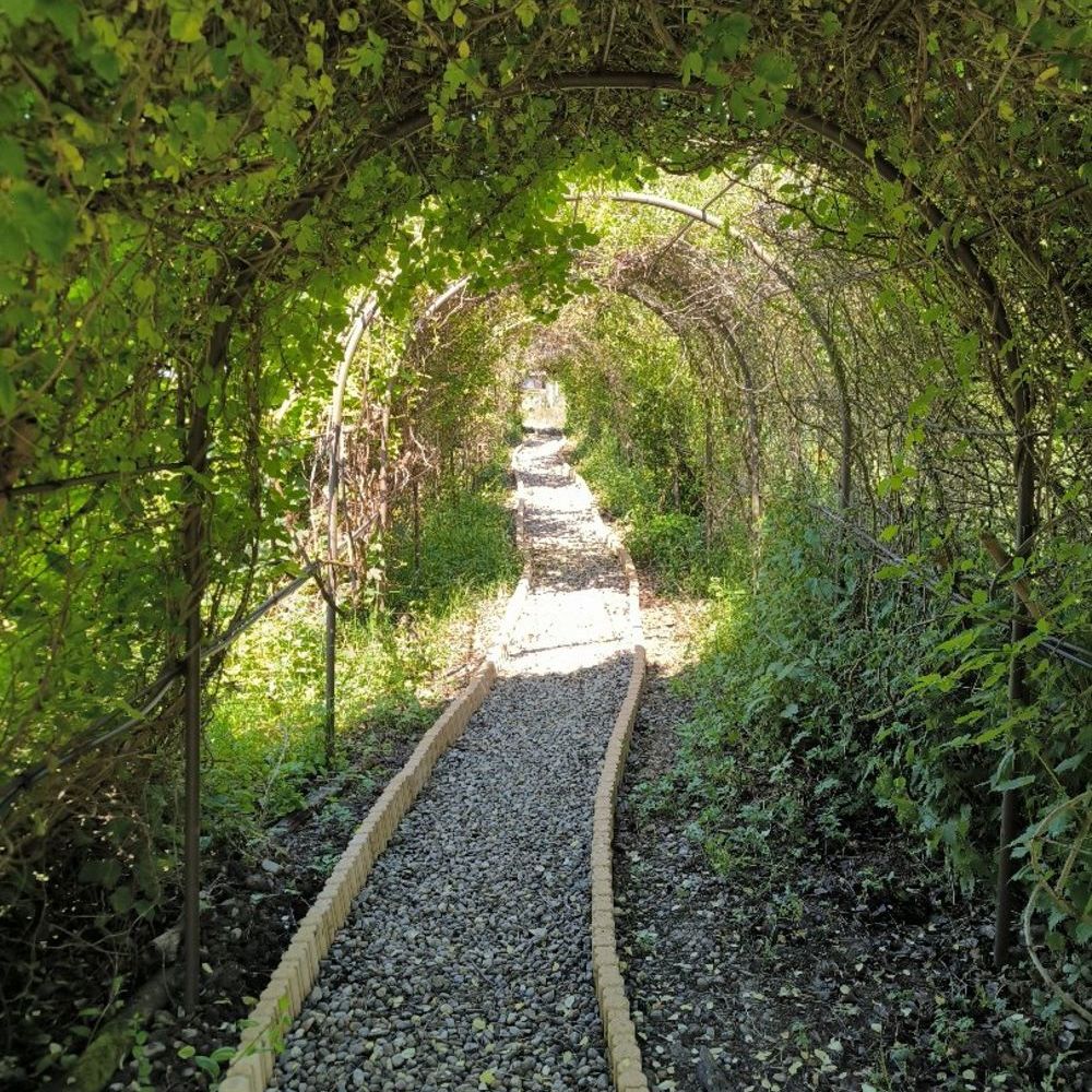 � vendre  Maison Pamiers (09100)